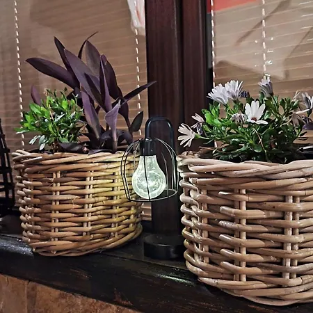 ゲストハウス Kadiyata バンスコ