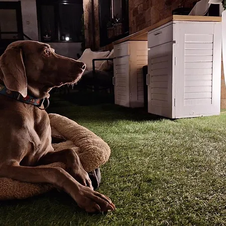 Kadiyata Guest house