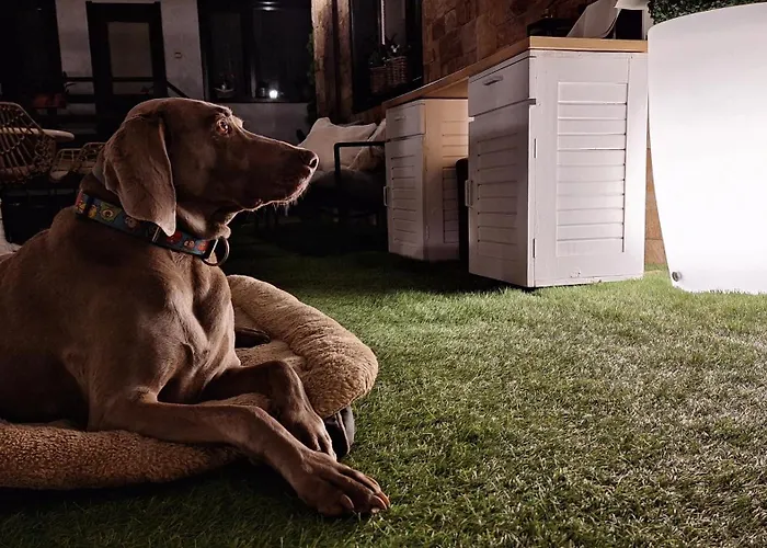 Kadiyata بيت ضيافة